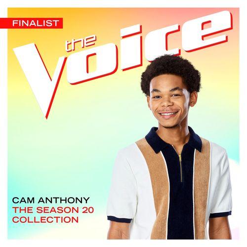 Album cover art for The Season 20 Collection
