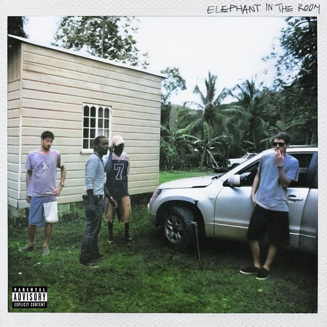 Album cover art for Elephant In The Room