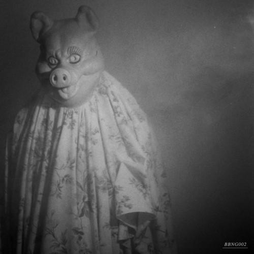 Album cover art for BBNG2