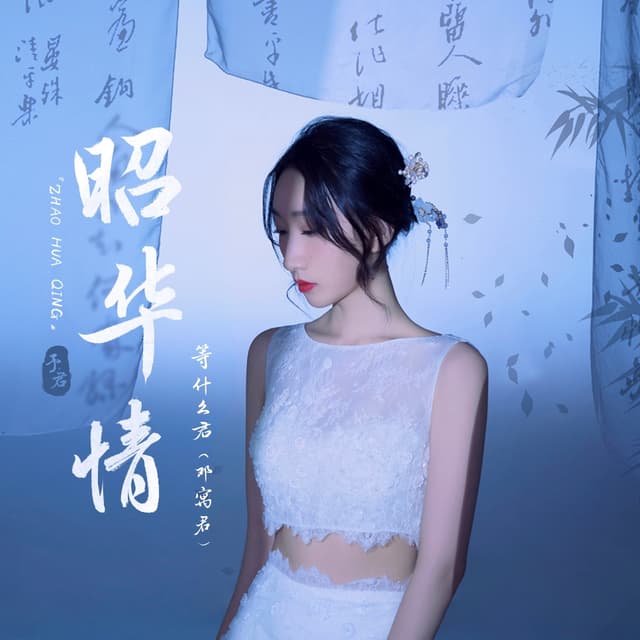 Album cover art for 昭华情