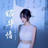 昭华情(DJ阿卓版)