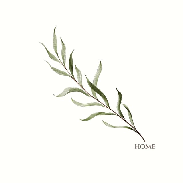Album cover art for Home