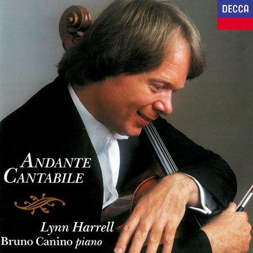 Album cover art for Andante cantabile