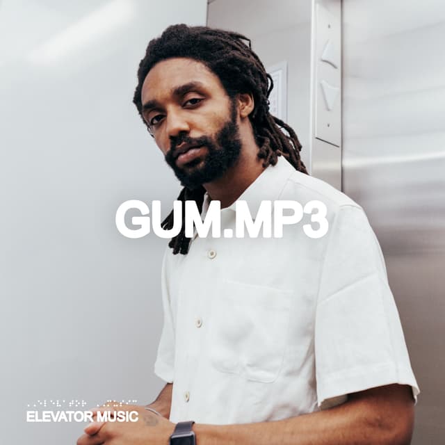 Album cover art for Elevator Music: Gum.Mp3
