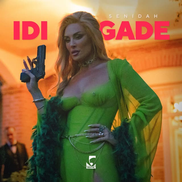 Album cover art for Idi Gade