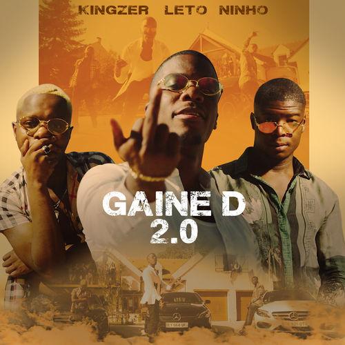 Album cover art for Gaine D 2.0