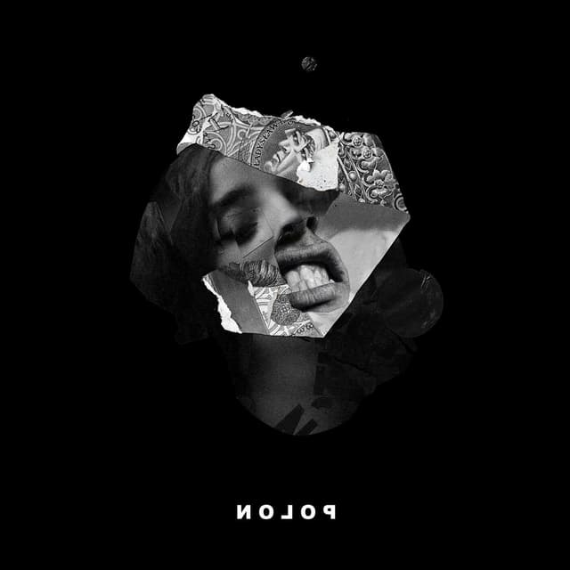 Album cover art for POLON