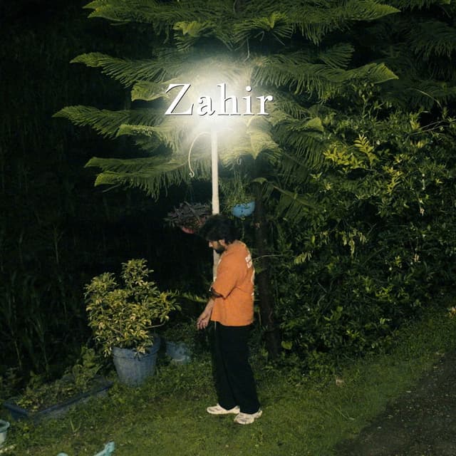 Album cover art for Zahir