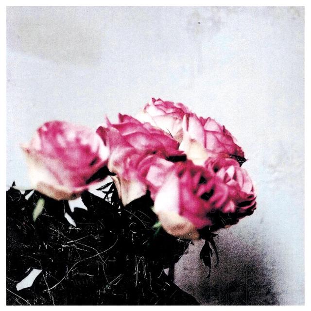 Album cover art for Love Logic
