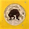 무명성 지구인 Mr.Obscurity from Earth (Mr.Obscurity from Earth)