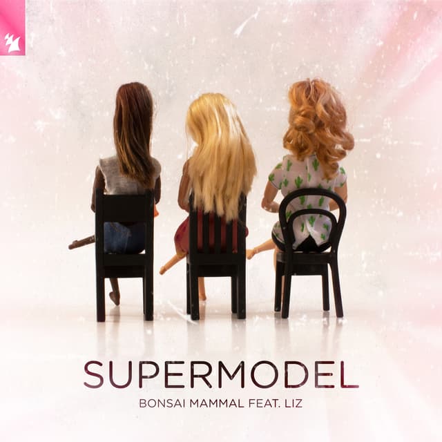 Album cover art for Supermodel