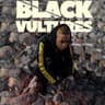 Black Vultures