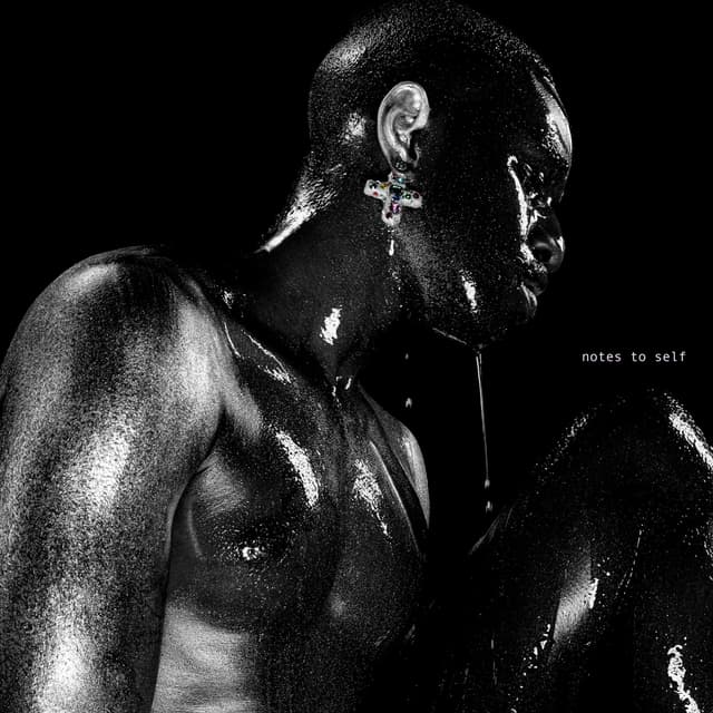 Album cover art for Notes To Self