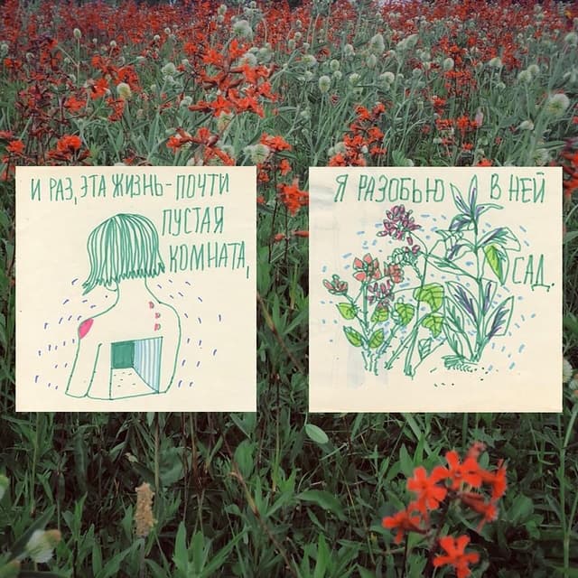 Album cover art for цветы лучше пуль
