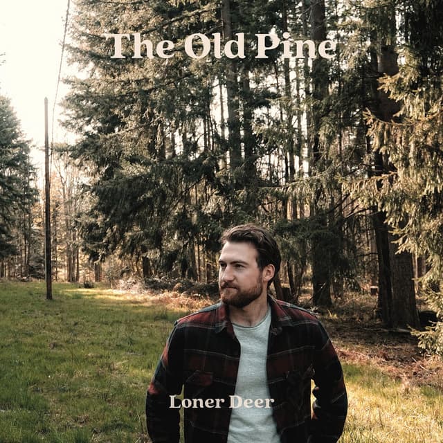 Album cover art for The Old Pine