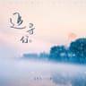 追寻你 (zhui xun ni)