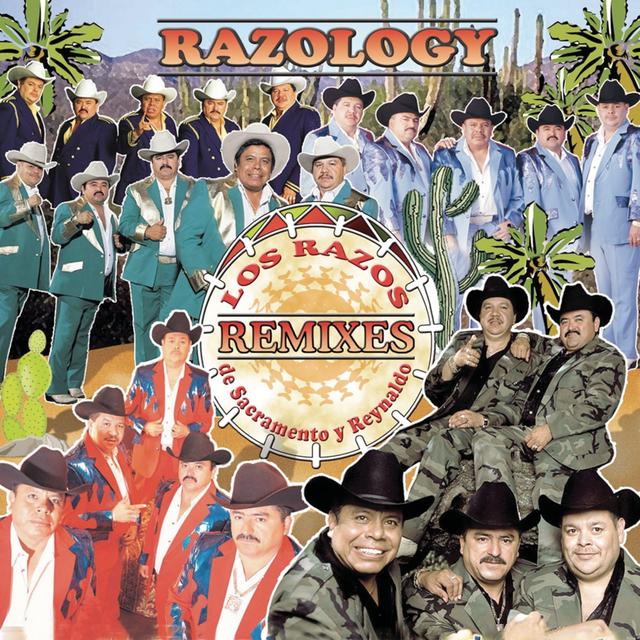Album cover art for Razology