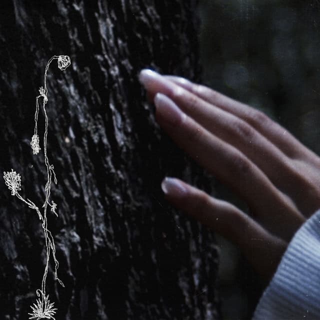 Album cover art for sleepwalking