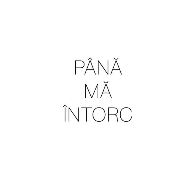 Album cover art for Până mă întorc