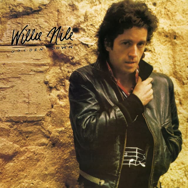 Album cover art for Golden Down