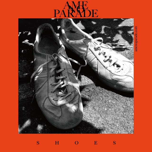 Album cover art for Shoes
