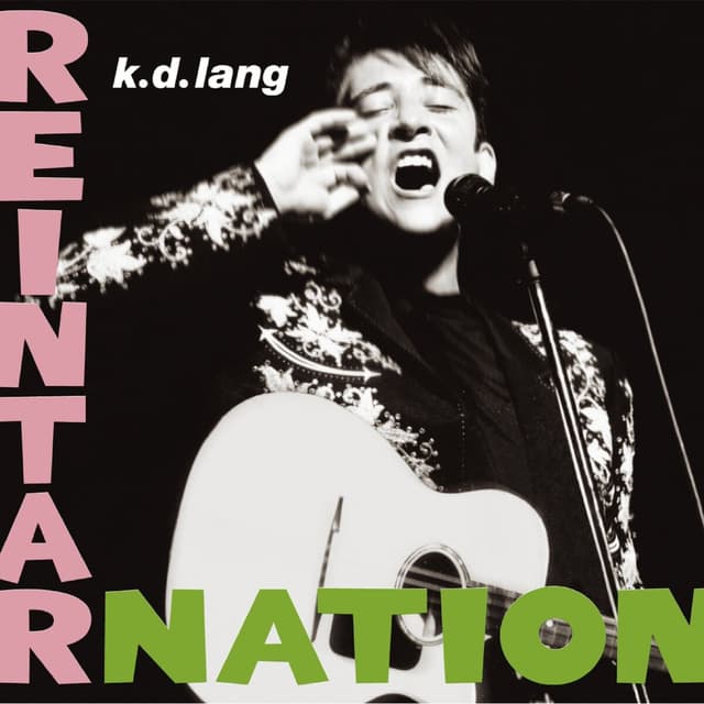 Album cover art for Reintarnation