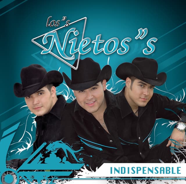 Album cover art for Indispensable