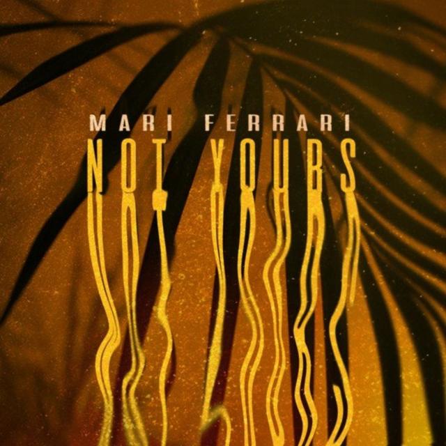 Album cover art for Not Yours