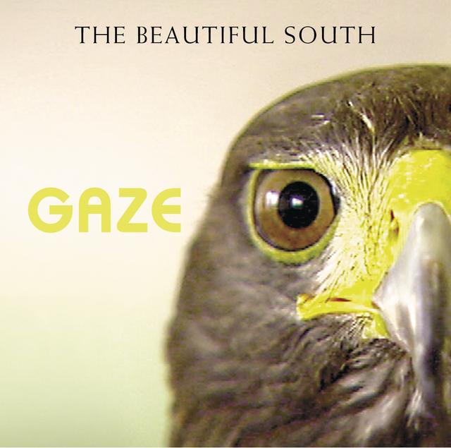 Album cover art for Gaze