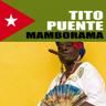 El Rey del Timbal