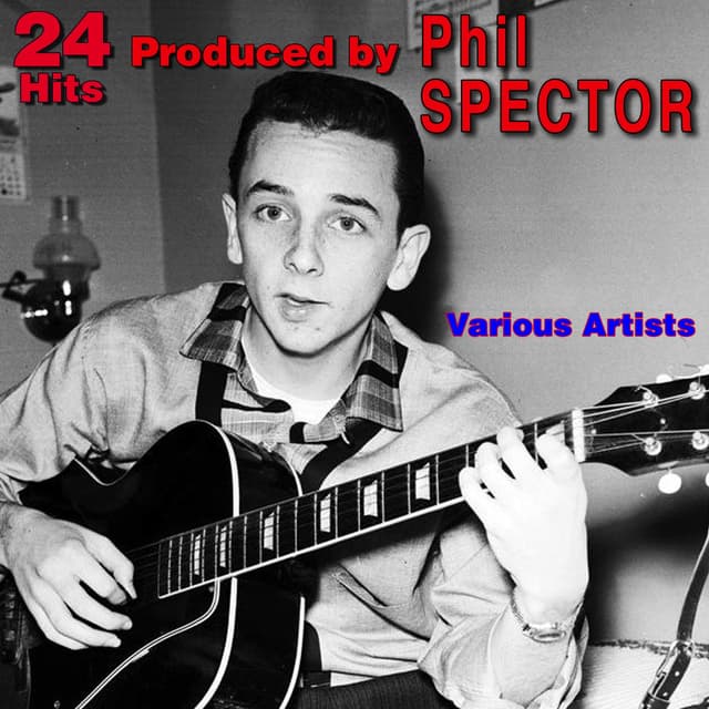 Album cover art for 24 Hits Produced By Phil Spector