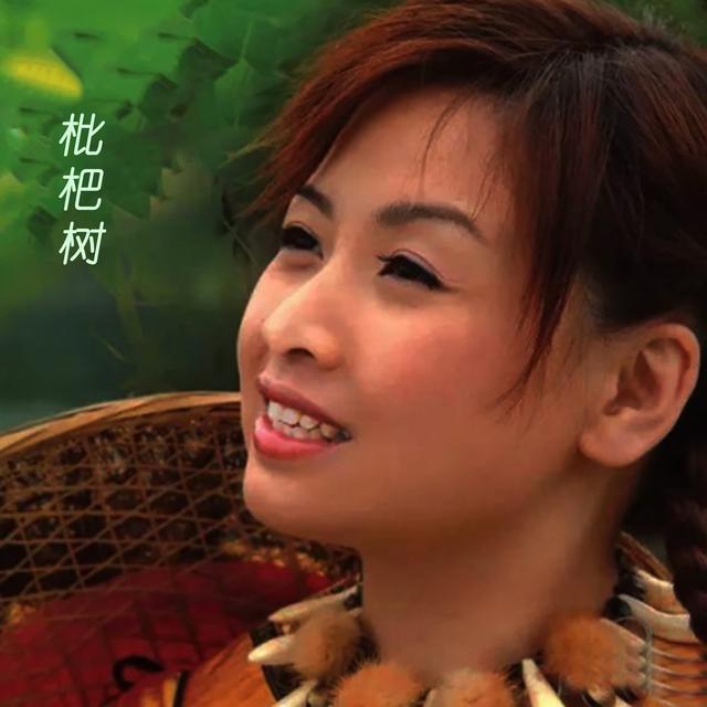 Album cover art for 枇杷树