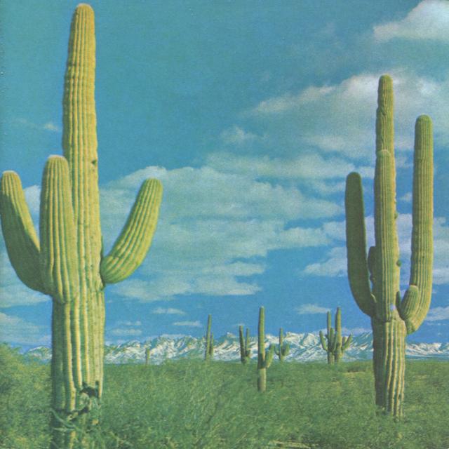 Album cover art for The State Of The Art Is On Fire