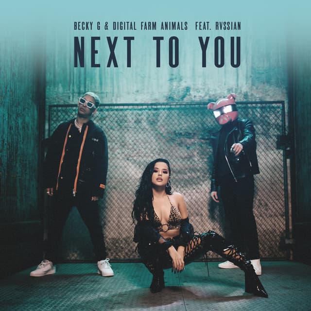 Album cover art for Next to You