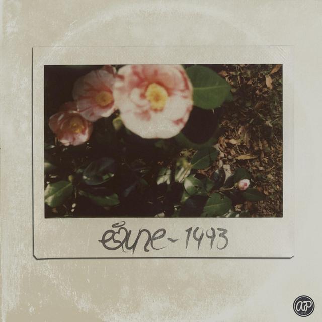 Album cover art for 1993