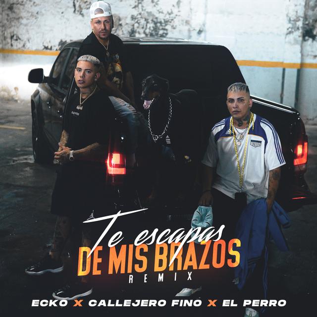 Album cover art for Te Escapas de Mis Brazos (Remix)