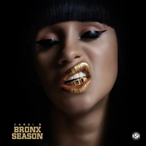 Album cover art for Bronx Season
