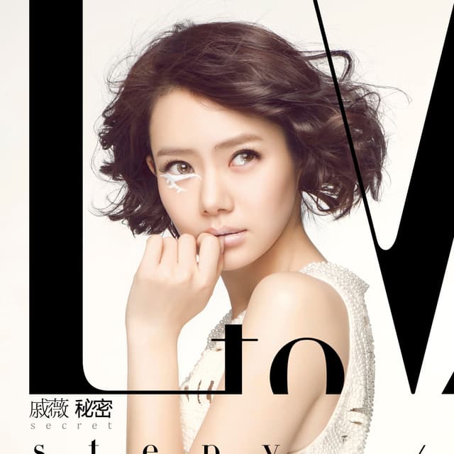 Album cover art for L to V 秘密