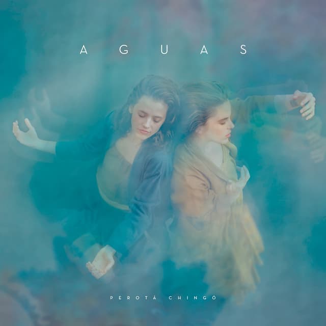 Album cover art for Aguas