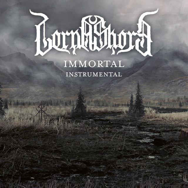 Album cover art for Immortal [Instrumental]
