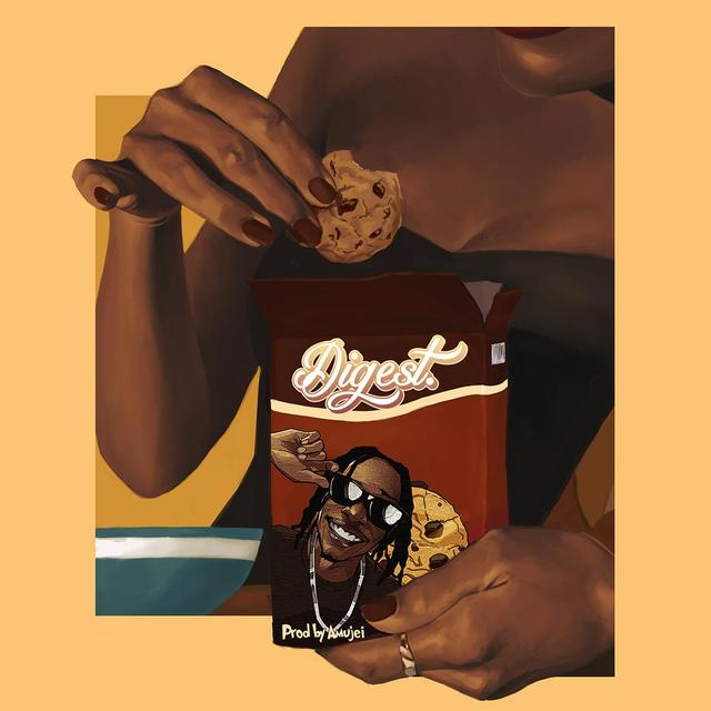 Album cover art for Digest - Single