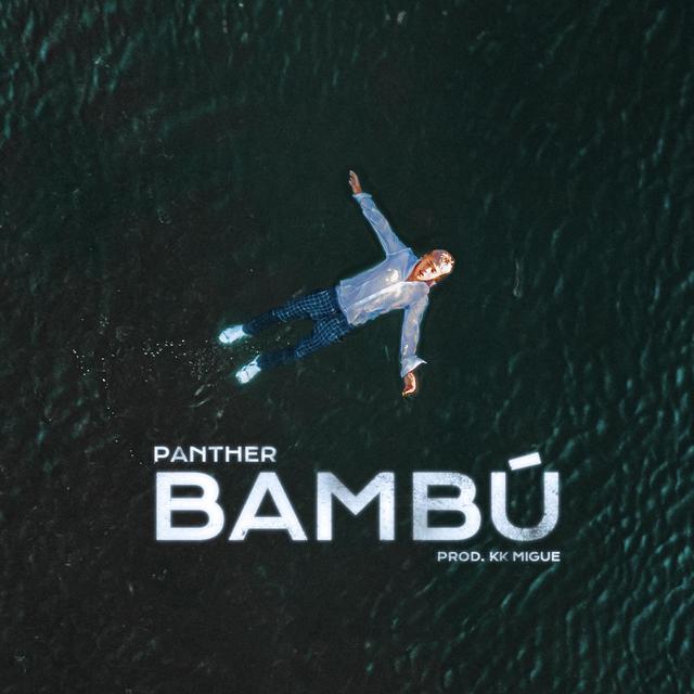 Album cover art for Bambú
