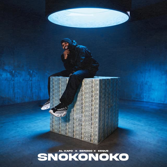 Album cover art for SNOKONOKO