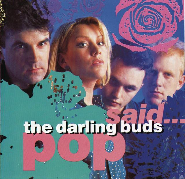 Album cover art for Pop Said...