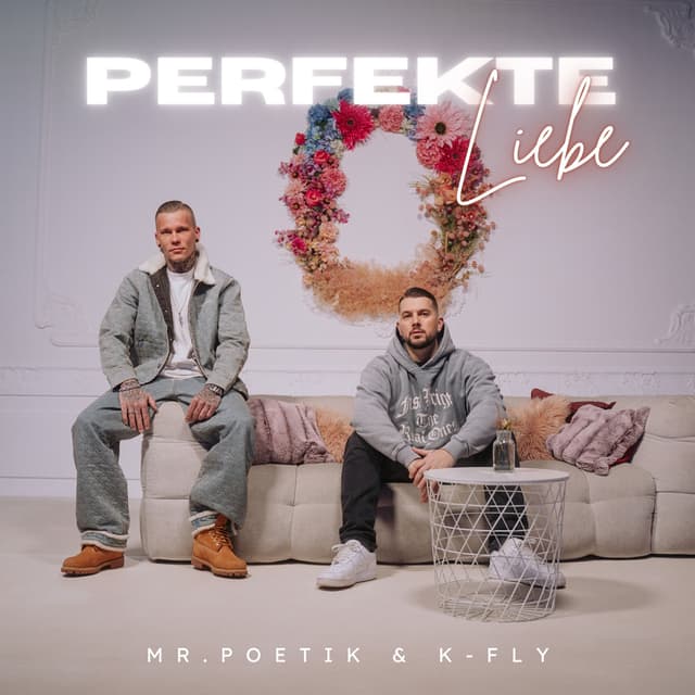 Album cover art for Perfekte Liebe