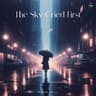 Raindrop Reflection (Intro)