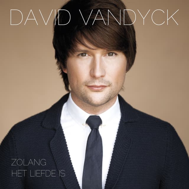 Album cover art for Zolang Het Liefde Is