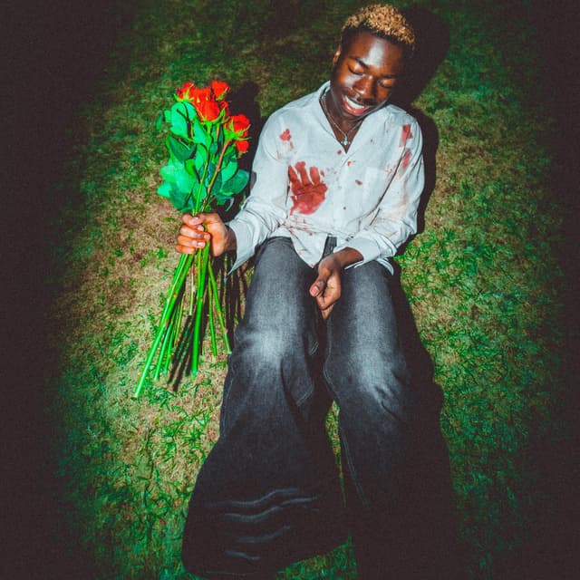 Album cover art for Please Stop Screaming