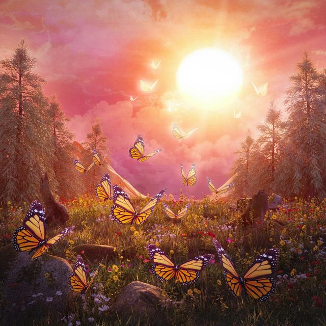 Album cover art for Rising Sun and Floating Clouds