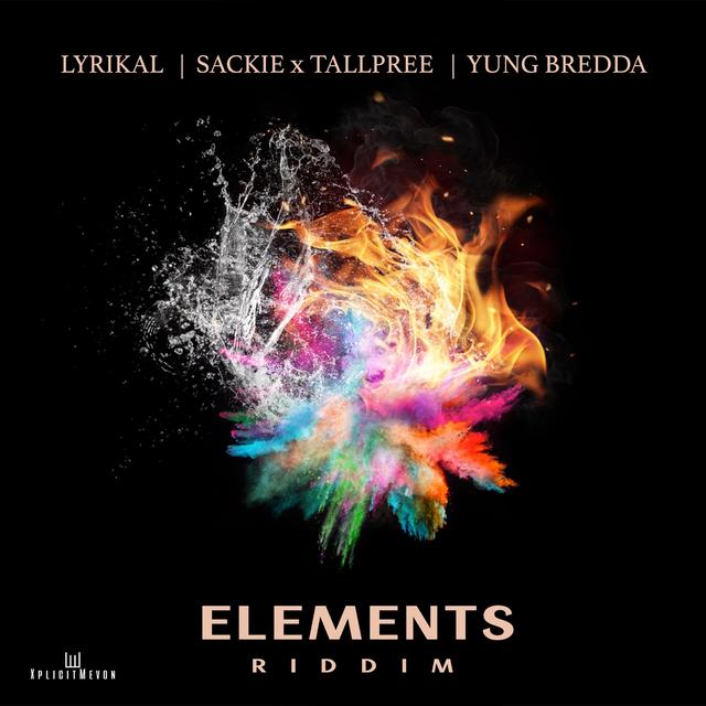 Album cover art for Elements Riddim
